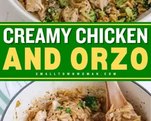 Creeamy Chicken and Orzo