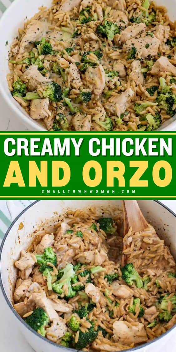 One Pot Creamy Chicken And Orzo