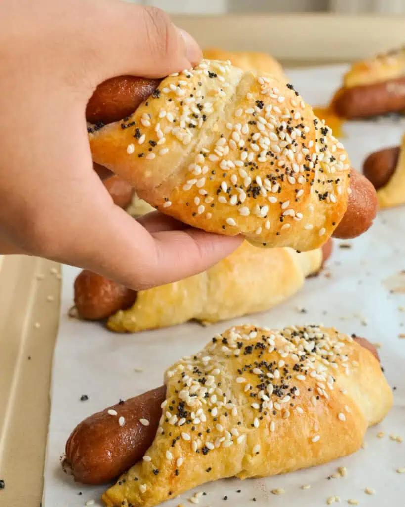 A hand holding a full sized fresh baked pigs in a blanket over a baking sheet with more pigs in a blanket. 