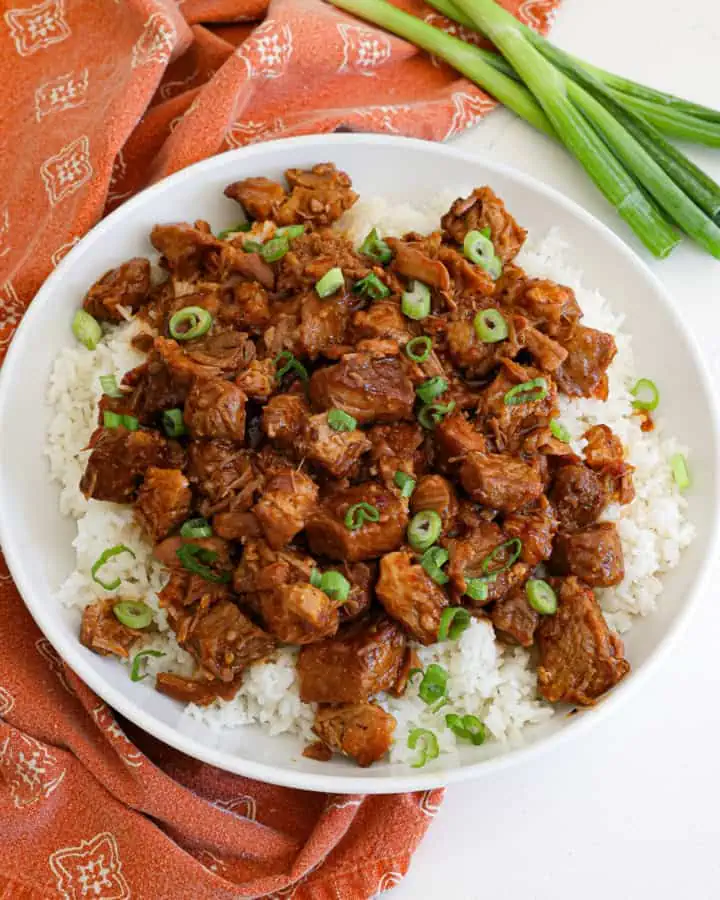 A bowl of braised pork served over white rice and garnished with thin slices of green onions. 