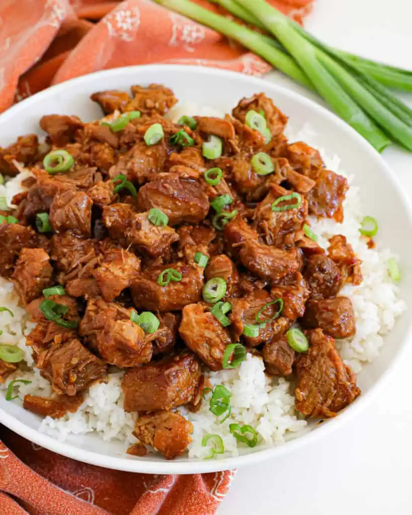 A large bowl of braised pork over white rice. 