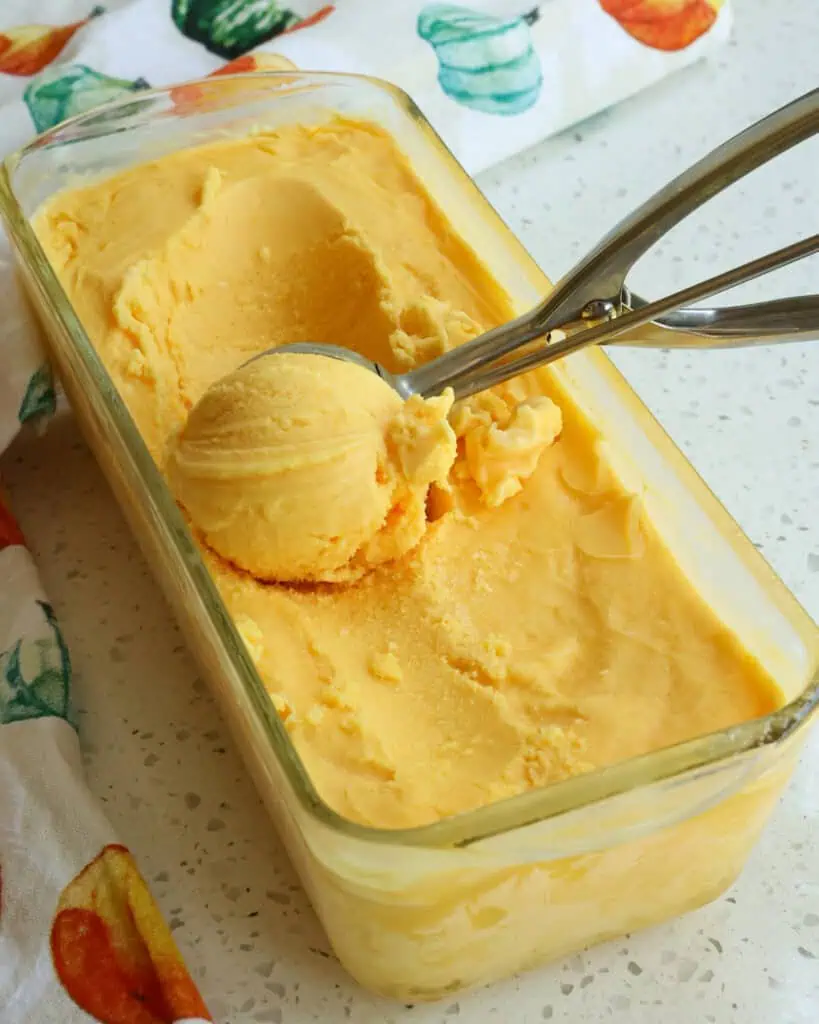 A scoop of orange sherbet in an ice cream scooper. 