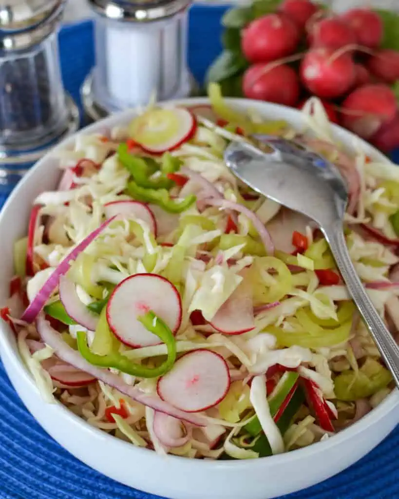 Vingear coleslaw with green cabbage peppers, red onion, and radishes. 