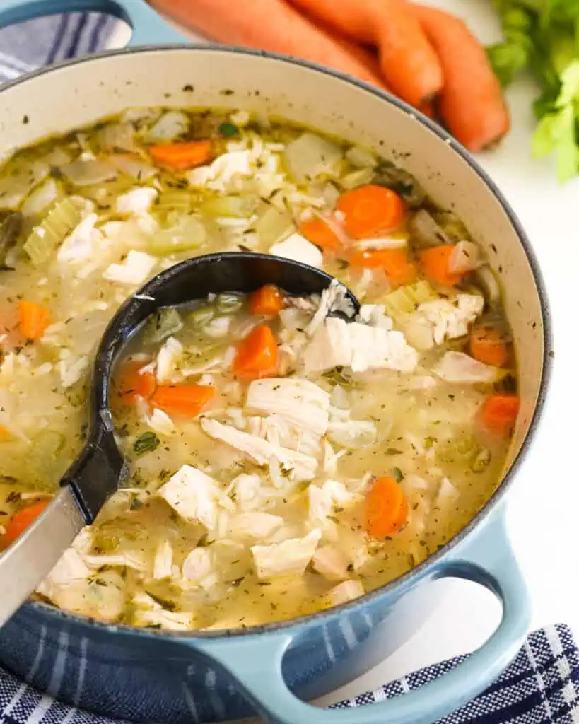 A Dutch oven and a soup ladle full of chicken and rice soup. 