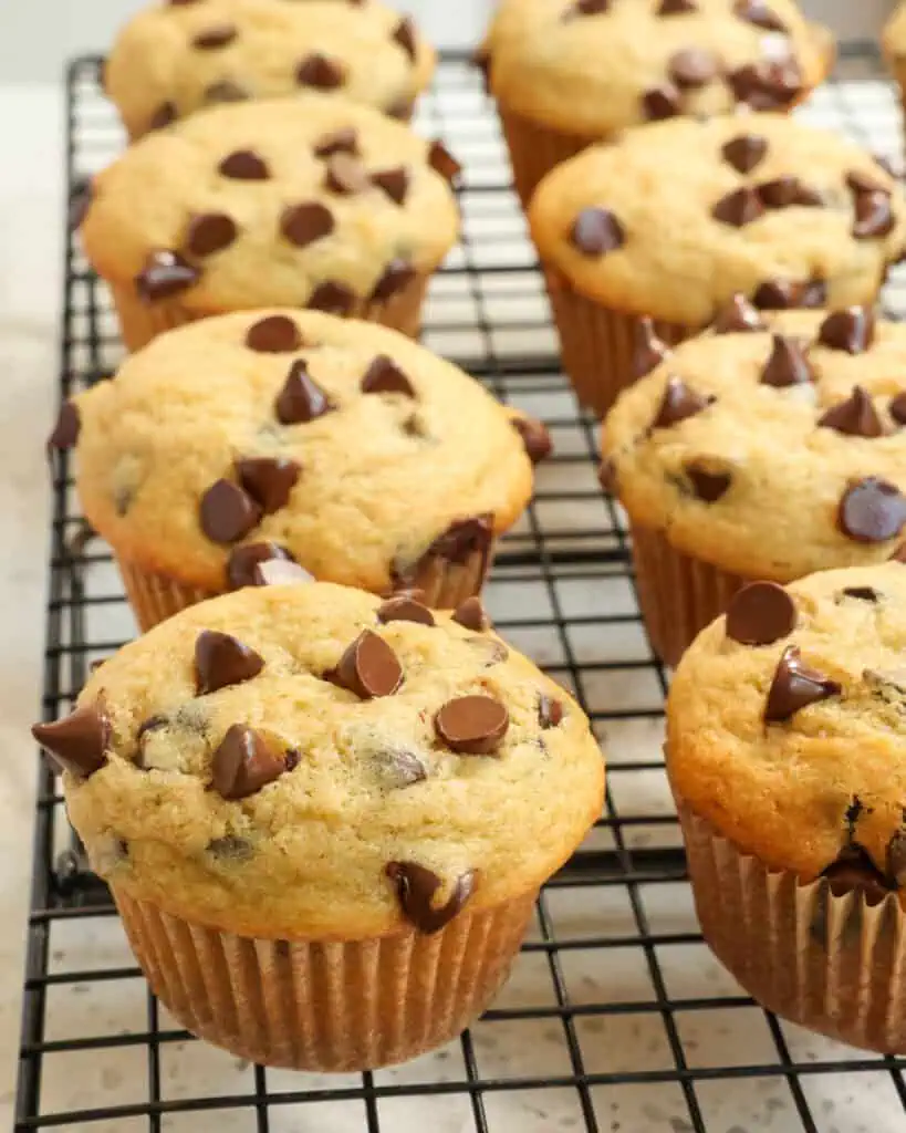 Chocolate Chip Muffins on a cooling rack. 