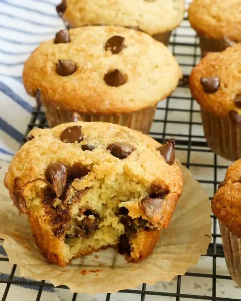 A chocolate chip muffin with the muffin paper down and a bite removed. 