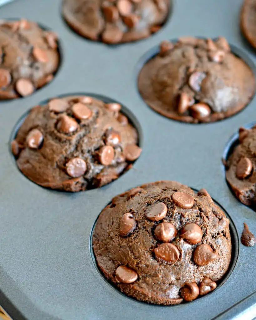 Double chocolate muffins in a tin. 