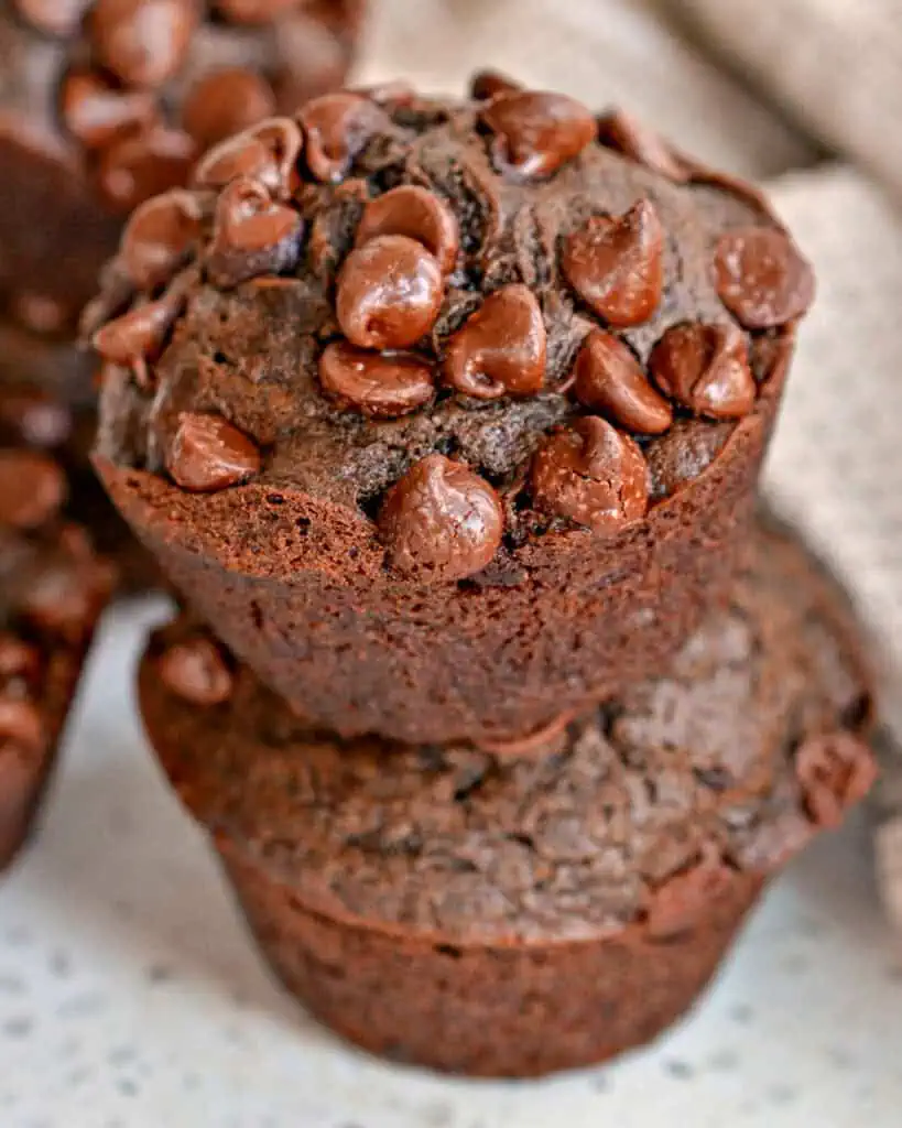 2 double chocolate muffins stacked on top of each oterh. 
