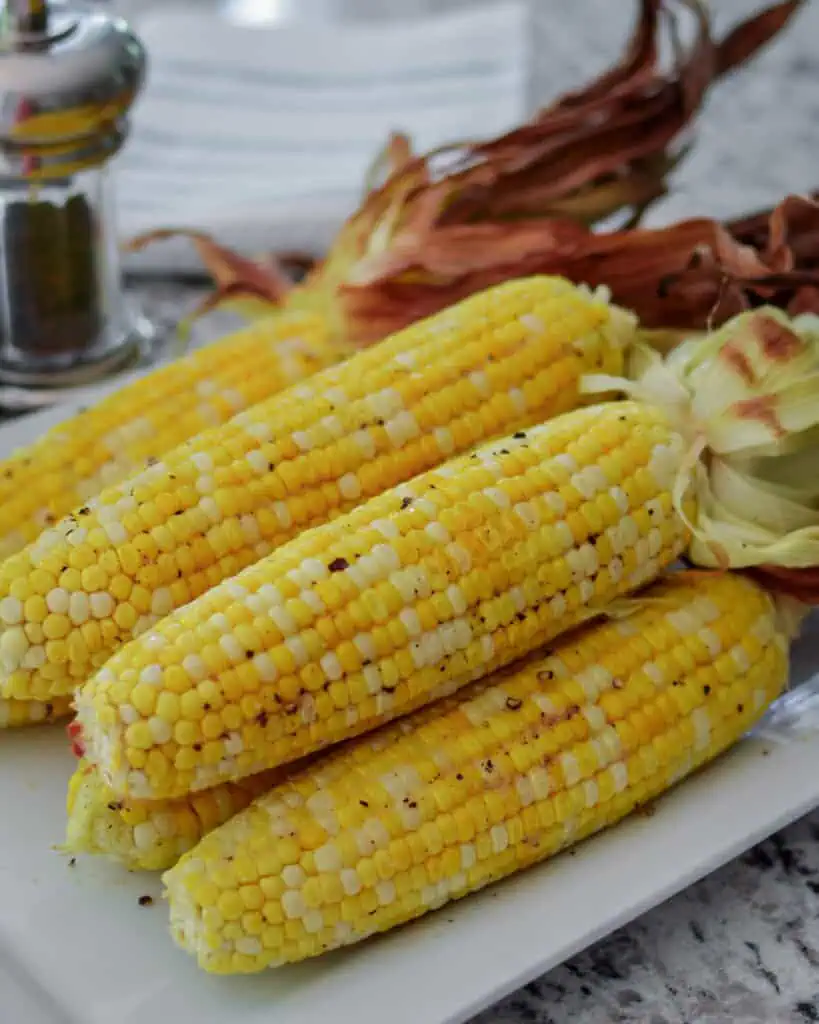 Fresh roasted corn  with the husks still attached. 