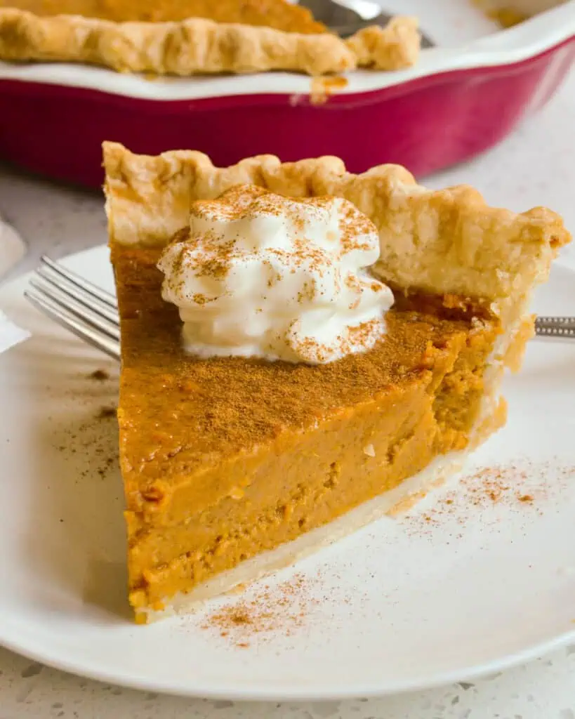 A single slice of sweet potato pie with whipped cream and ground cinnamon. 