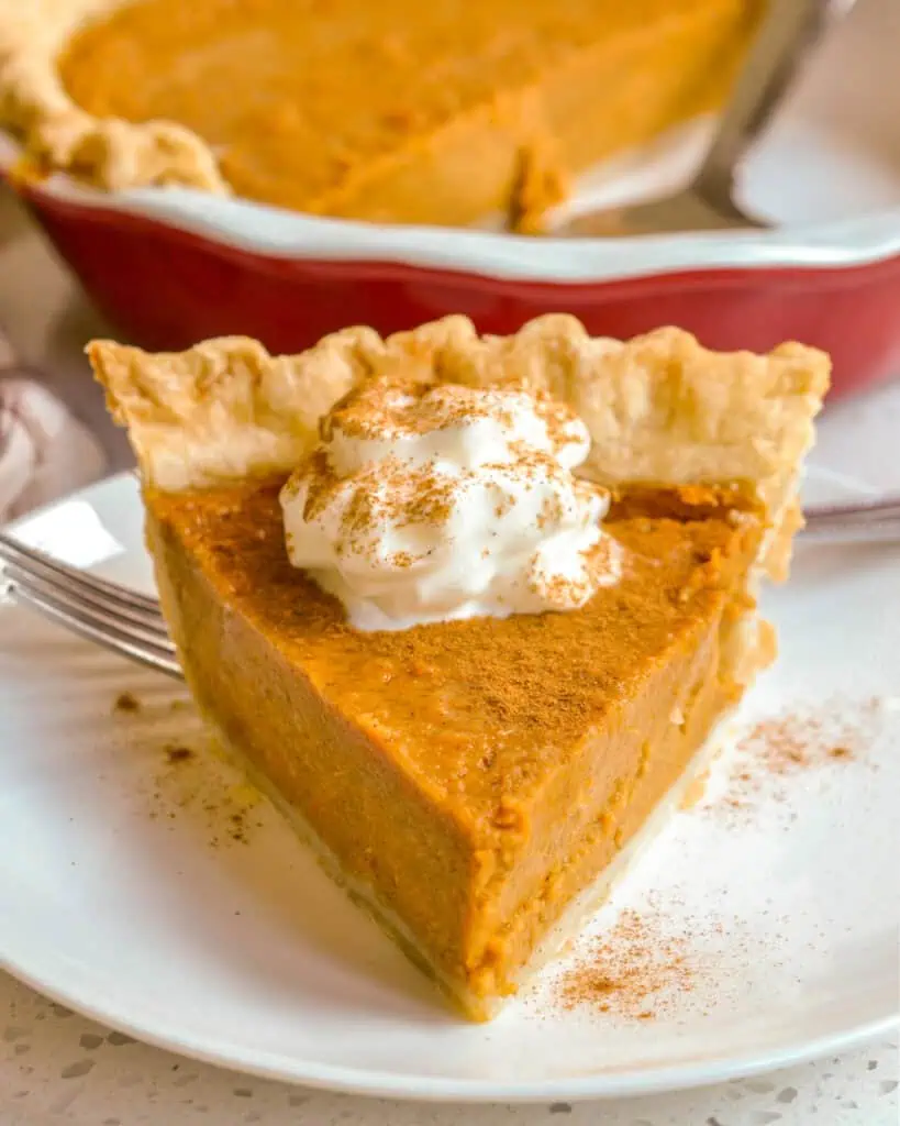 A slice of sweet potato pie with whipped cream and ground cinnamon and a pie dish with more sweet potato pie in the background. 