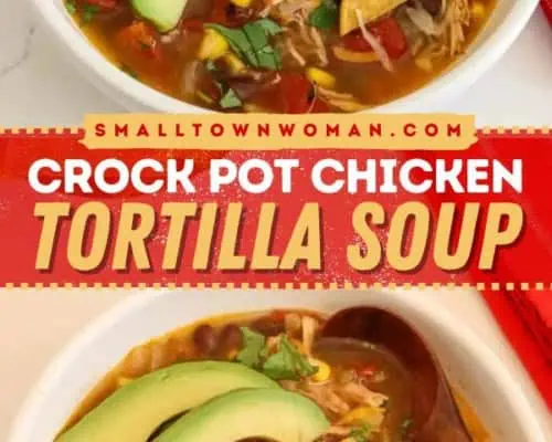 Crock Pot Chicken Tortilla Soup