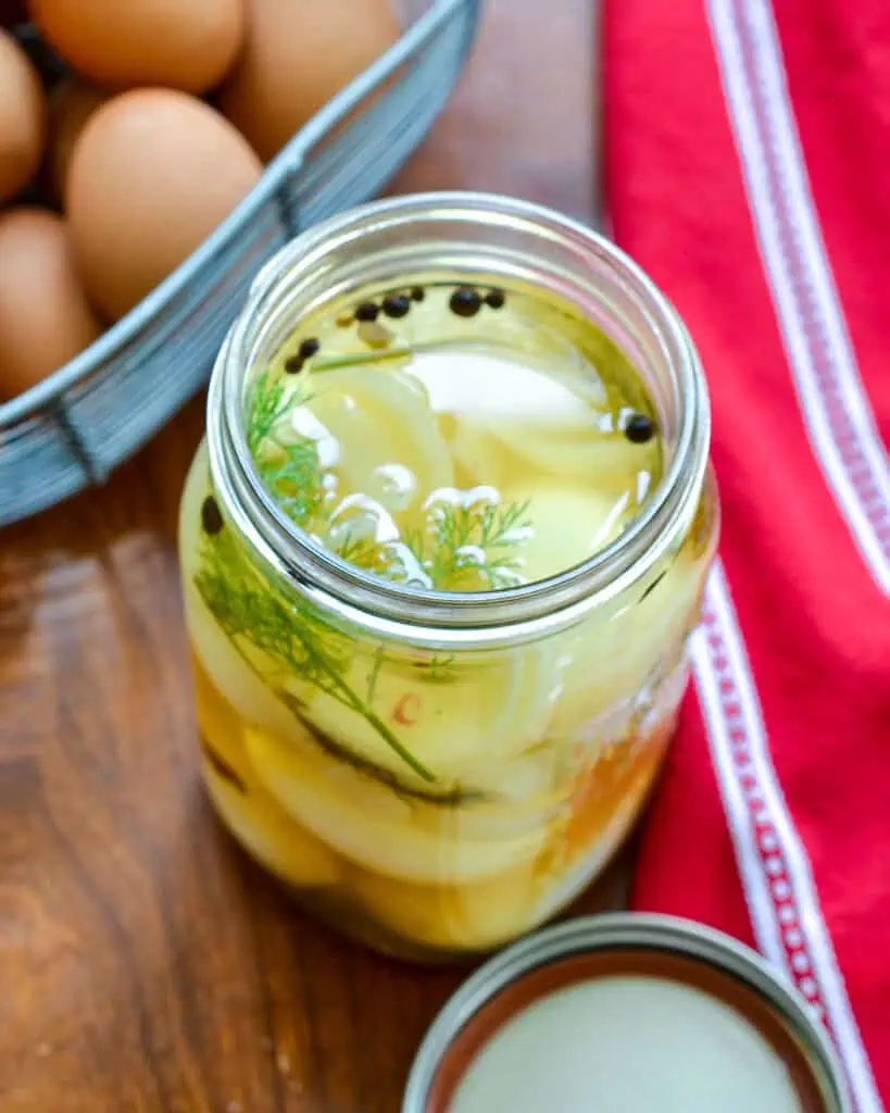 Over view of an open jar of pickled eggs with peppercorns and dill sprigs. 