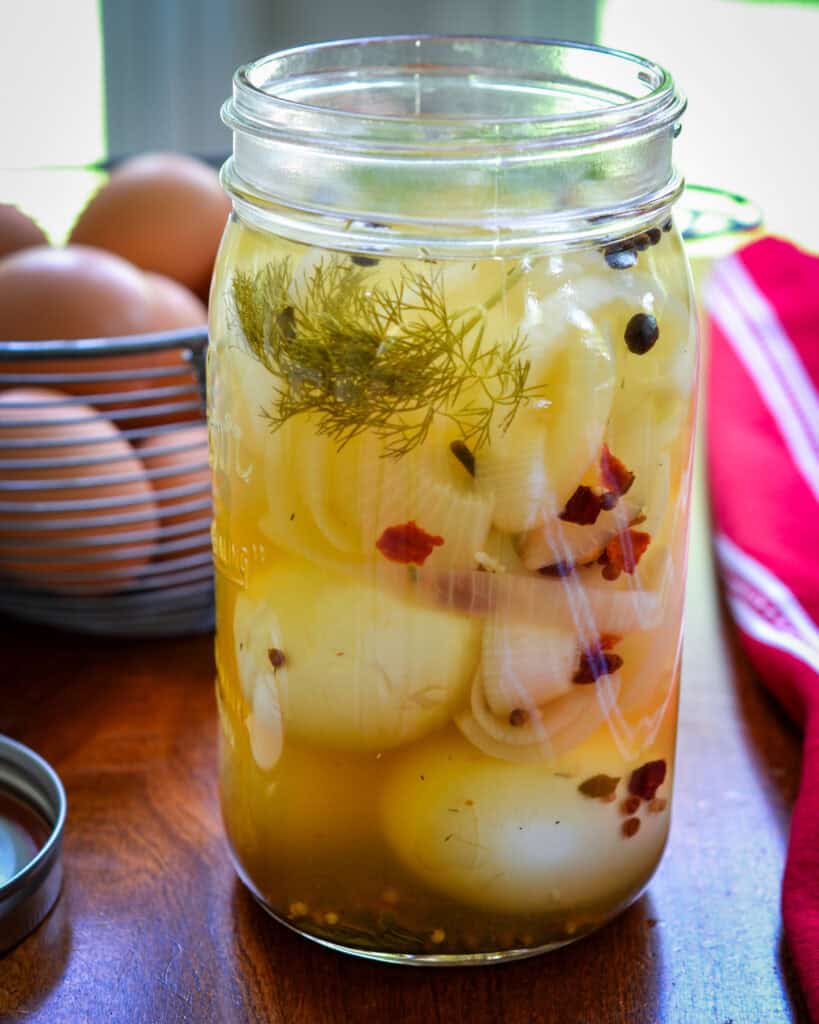 The side view of a large glass jar filled with pickled eggs, pickling spices, dill sprigs, and peppercorns. 