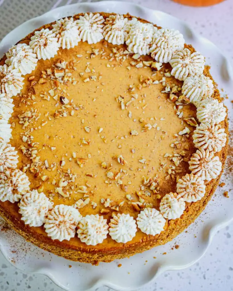 Pumpkin cheesecake with whipped cream and chopped pecans on a cake stand. 