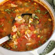 Chicken Enchilada Soup