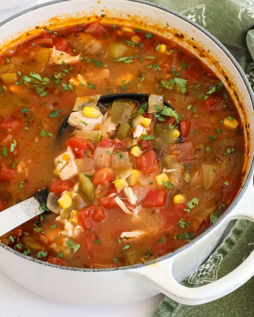 A Dutch oven and a ladle full of chicken enchilada soup. 