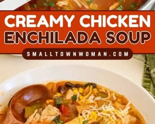 Chicken Enchilada Soup