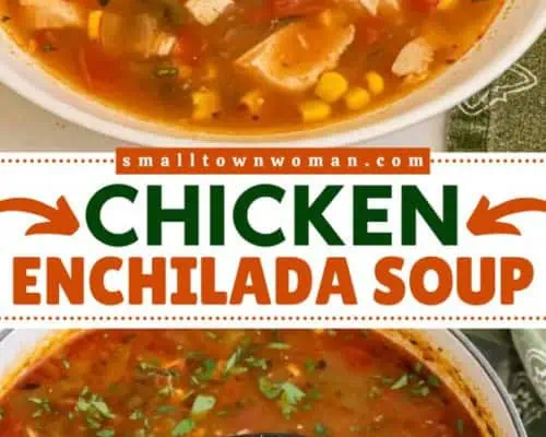 Chicken Enchilada Soup