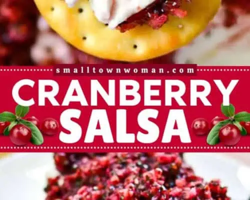 Cranberry Salsa