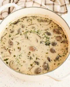 Cream of Mushroom Soup