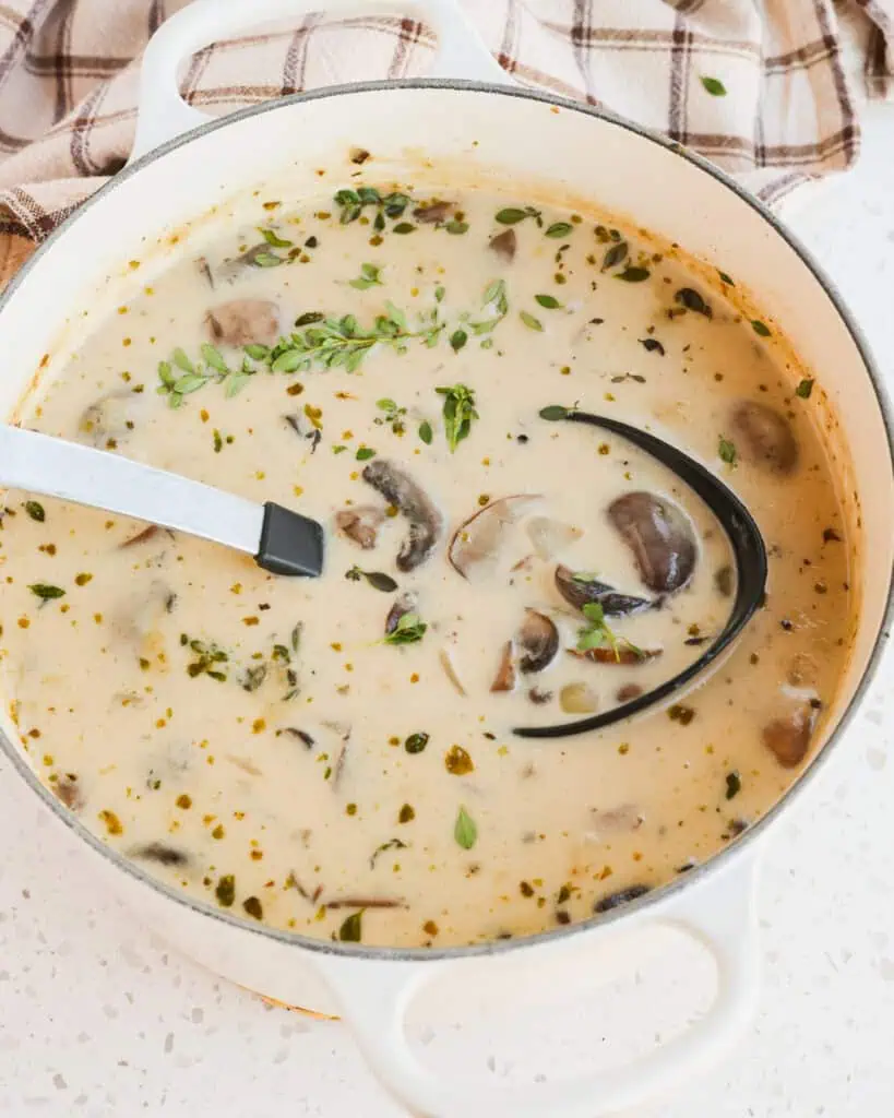 A pot full of cream of mushroom soup with a ladle in it. 