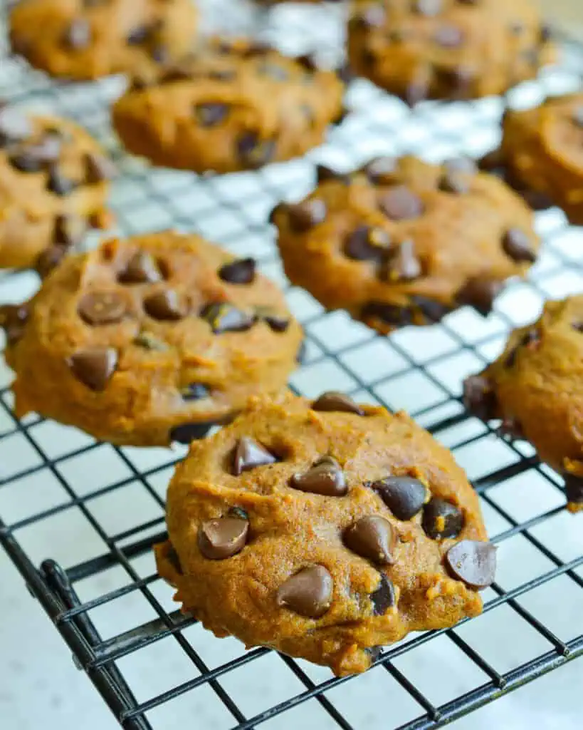 Pumpkin chocolate chips cookies on a cooling rack. 