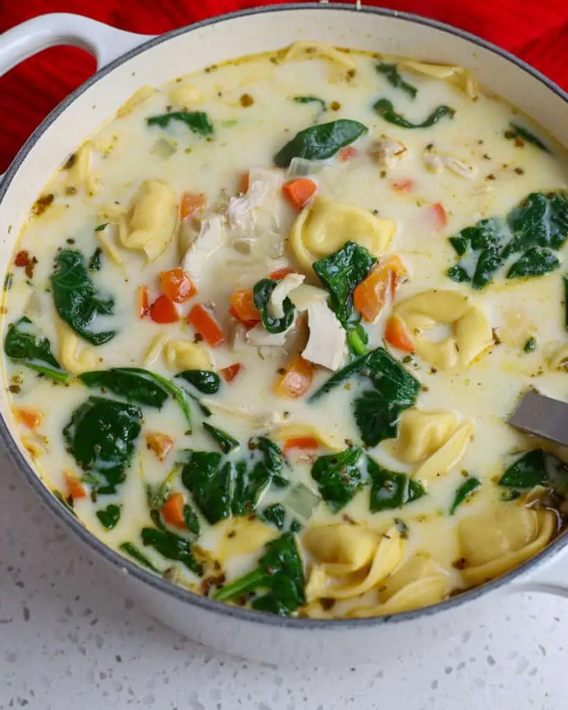 Warm cheese tortellini and chicken soup with fresh onions, spinach, carrots. and garlic. 