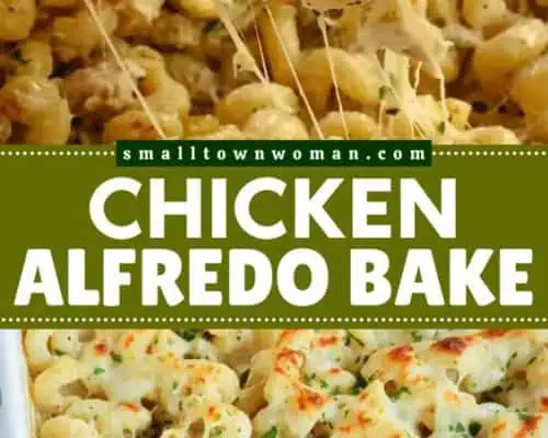 Chicken Alfredo Pasta