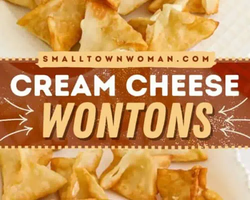 Cream Cheese Wontons