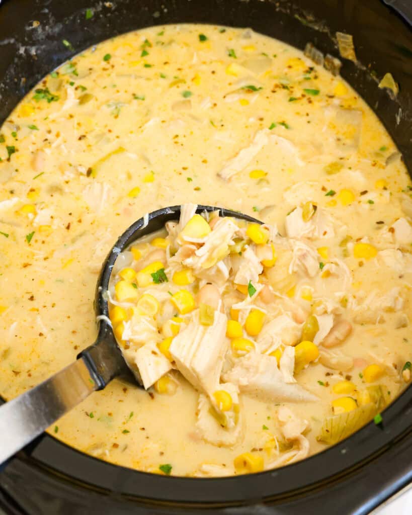 A crockpot and a ladle full of white chicken chili. 