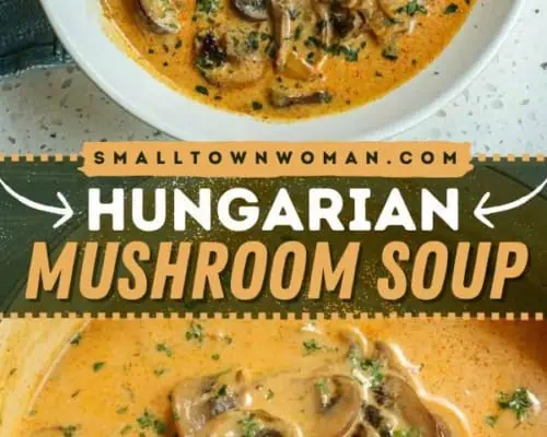 Hungarian Mushroom Soup