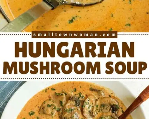 Hungarian Mushroom Soup