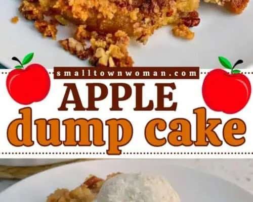 Apple Dump Cake