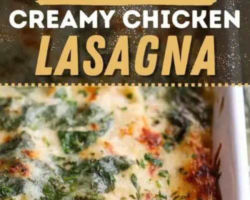 Chicken Lasagna