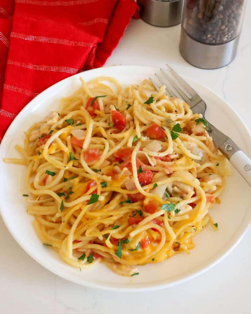 A single serving plate full of chicken spaghetti with tomatoes and cheddar cheese sauce. 
