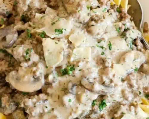 Ground Beef Stroganoff