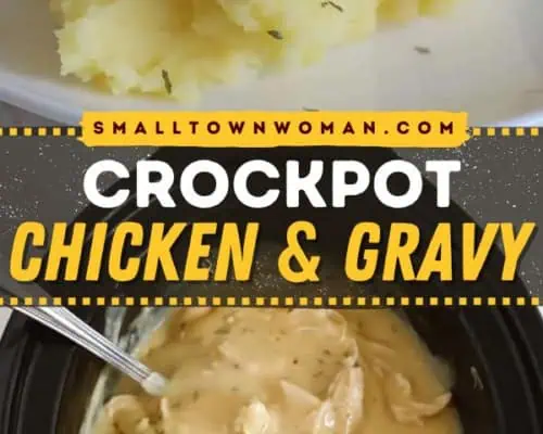 Crock Pot Chicken and Gravy