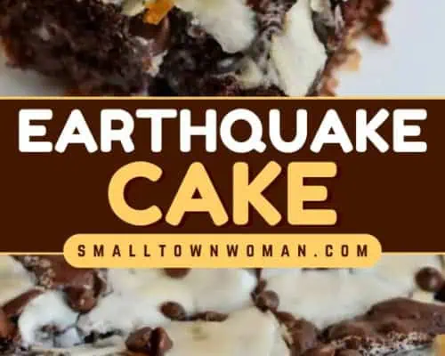 Earthquake Cake