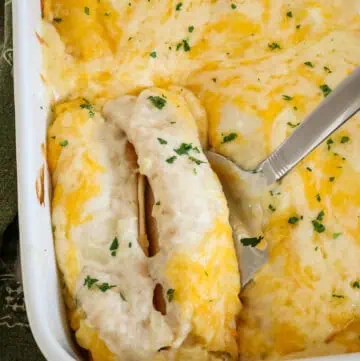 Sour Cream Chicken Enchiladas