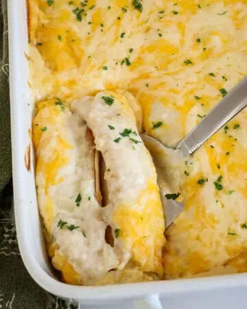 Sour Cream Chicken Enchiladas