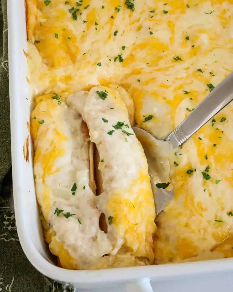 Two sour cream chicken enchiladas on a serving spatula in a dish full of sour cream enchiladas. 